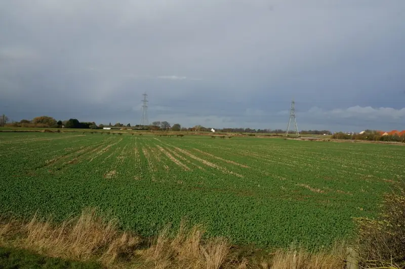 Farmland beside the houses at Kingswood, Hull