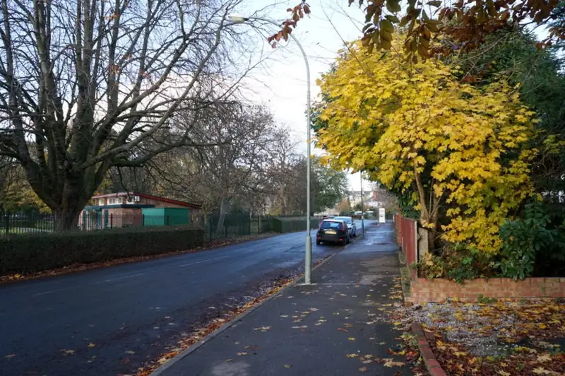Houses beside Pearson Park in Hull